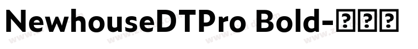 NewhouseDTPro Bold字体转换